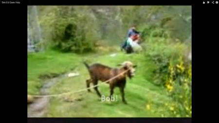 Bob , Help :))))=))))=)))funny