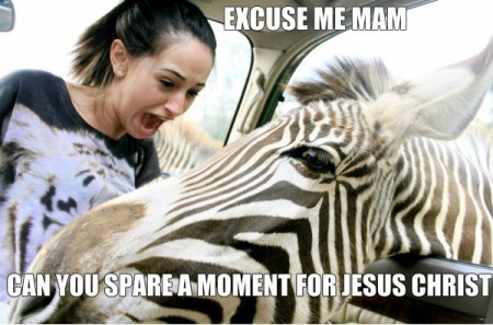 Cum a intrat pe geam  ?  :)))) funny