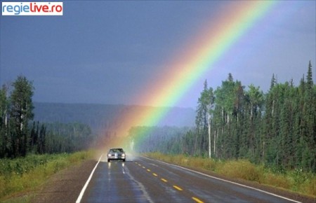 El a gasit aurul spiridusilor :)) funny